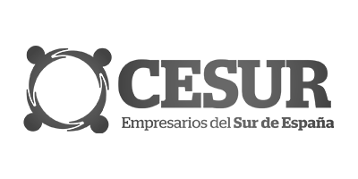 Asociación de Empresarios del Sur de España (CESUR)