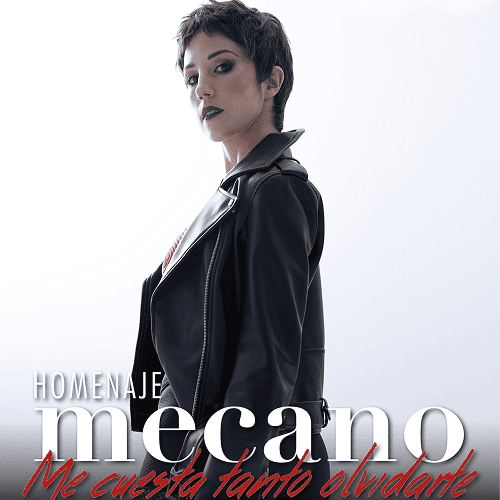 mecano 500×500